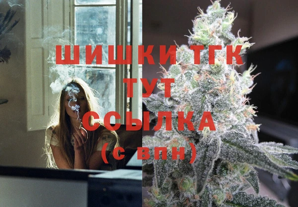 PSILOCYBIN Снежногорск