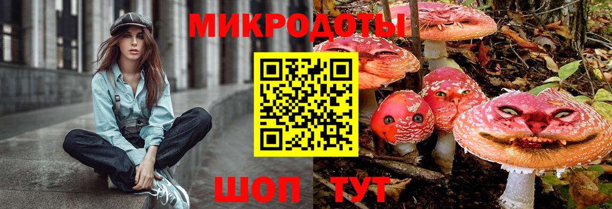 Солнечногорск  Галлюциногенные грибы Cubensis  Вход с VPN  Псилоцибиновые грибы прущие грибы 