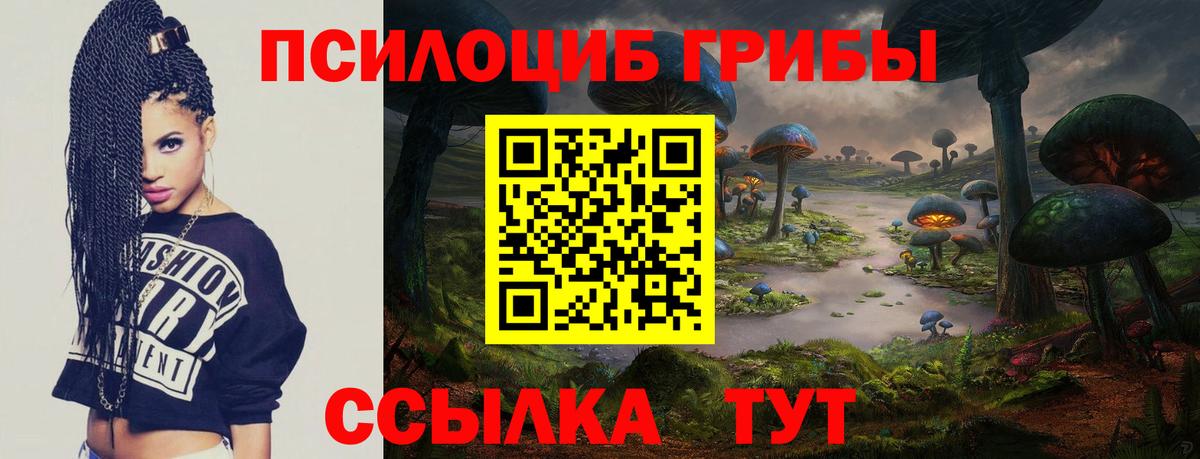 Галлюциногенные грибы Psilocybe Солнечногорск