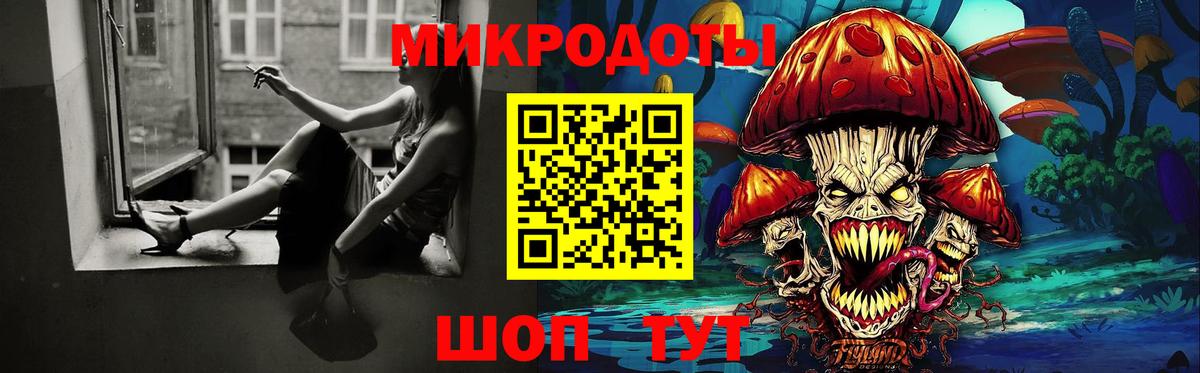 Псилоцибиновые грибы мицелий Солнечногорск